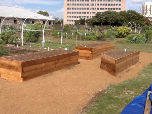 Three new raised beds 
					with wicking technology allow easy access to gardeners with disabilities.