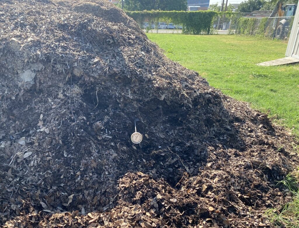 Large darkened leaf pile with 6 foot thermometer stuck inside