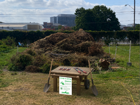 simulation of a wheeled table in front of a brush pile containing pruning shears, loppers, and shovels with a sign reading "chop and Drop"