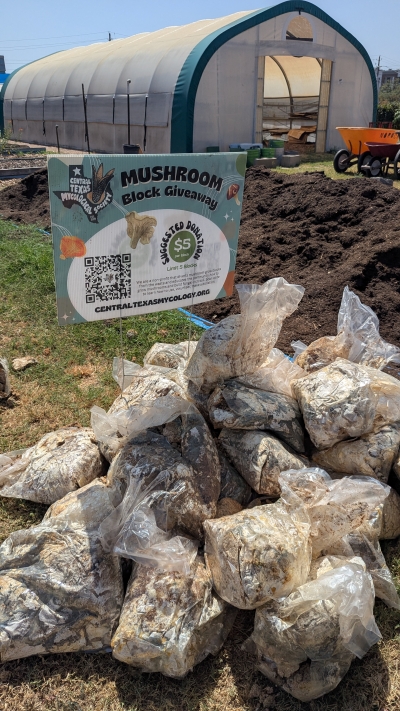 mushroom blocks donated to Sunshine