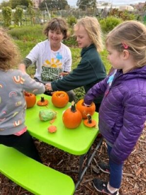 a group of children at a picnic table cleaning the seeds out of mini pumpkins