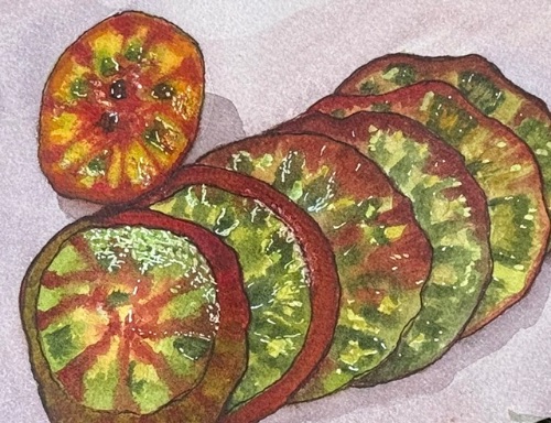 watercolor of a sliced tomato in a variety of warm shades